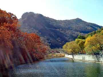 新澳天天开奖资料大全旅游团，195线材